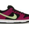 Nike SB Dunk Low Pro ACG Terra Red Plum